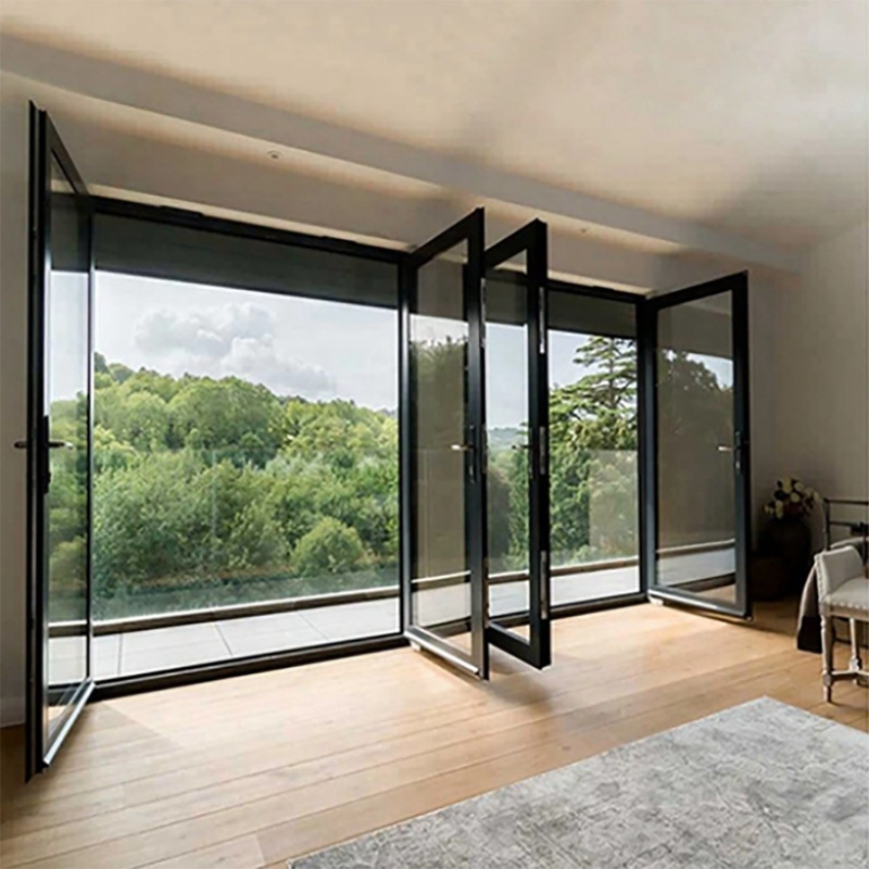 Porte française en aluminium standard australien Design minimaliste extérieur double vitrage