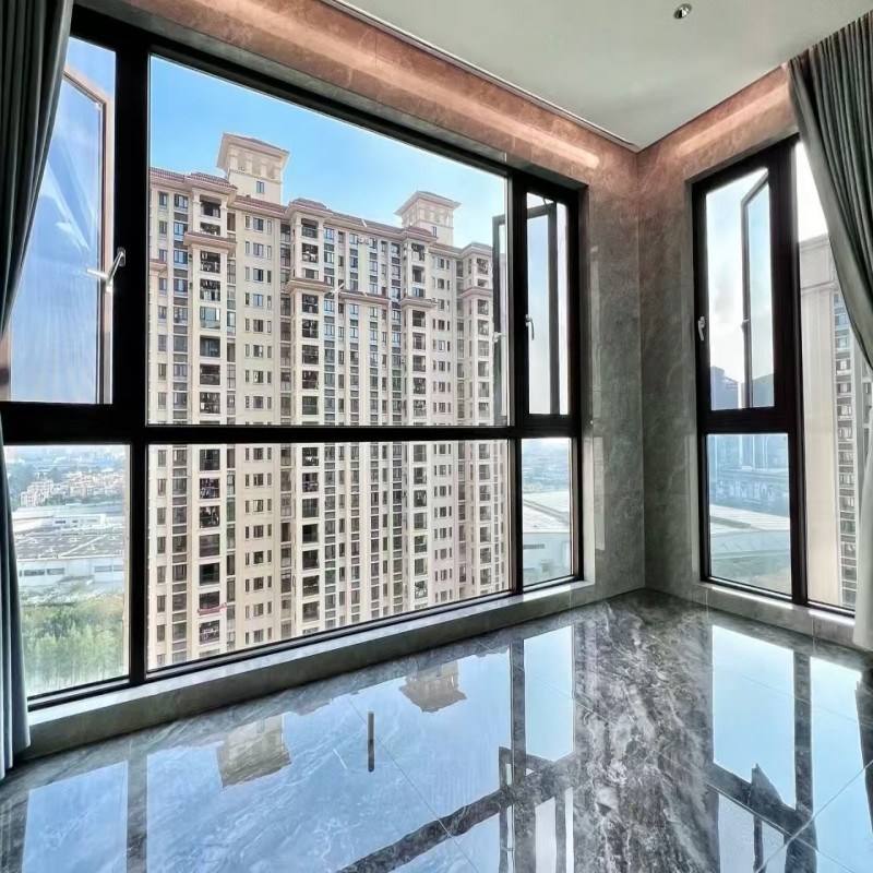 Fermeture en aluminium solide avec cadre renforcé et charnières en acier inoxydable pour des maisons sûres